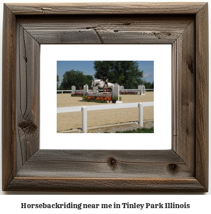 horseback riding near me in Tinley Park, Illinois